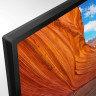 Телевизор Sony KD-55X81J