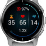 Умные часы Garmin Venu 2 Plus (серебристый/серый)