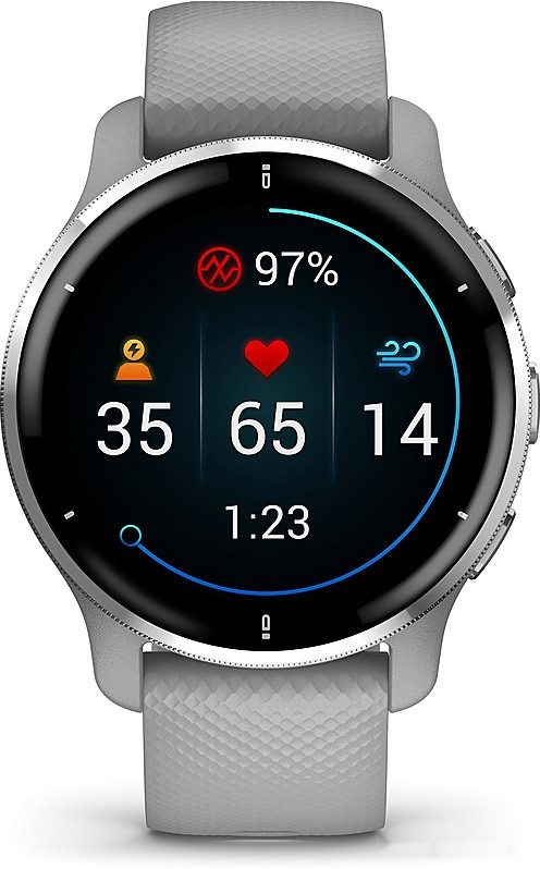Умные часы Garmin Venu 2 Plus (серебристый/серый)