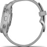 Умные часы Garmin Venu 2 Plus (серебристый/серый)
