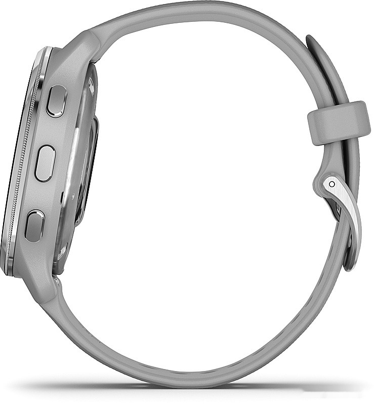 Умные часы Garmin Venu 2 Plus (серебристый/серый)