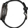 Умные часы Garmin Venu 2 Plus (черный)