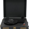 Виниловый проигрыватель Ritmix LP-100 (черный)