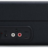 Виниловый проигрыватель Ritmix LP-100 (черный)