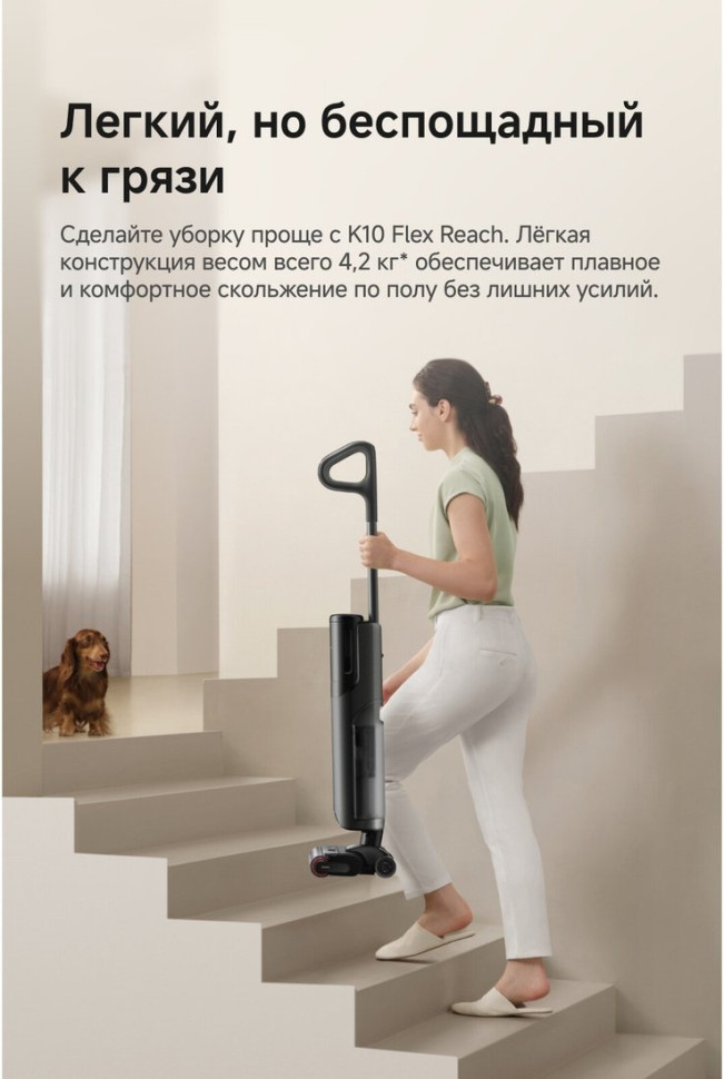 Вертикальный моющий пылесос Trouver Wet and Dry Vacuum K10 Flex Reach HMH20A (евровилка, черный)