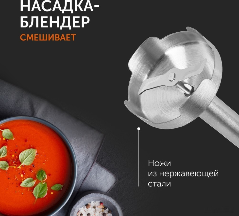 Блендер RED Solution RHB-2971