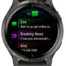 Умные часы Garmin Venu 2S (сланцевая нержавеющая сталь/черный)