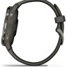 Умные часы Garmin Venu 2S (сланцевая нержавеющая сталь/черный)