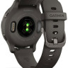 Умные часы Garmin Venu 2S (сланцевая нержавеющая сталь/черный)