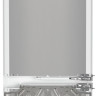 Встраиваемый холодильник Liebherr ICd 5123 Plus