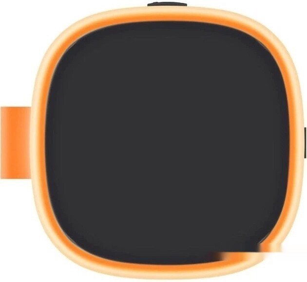 Портативная акустика Xiaomi Sound Play (черный, международная версия)