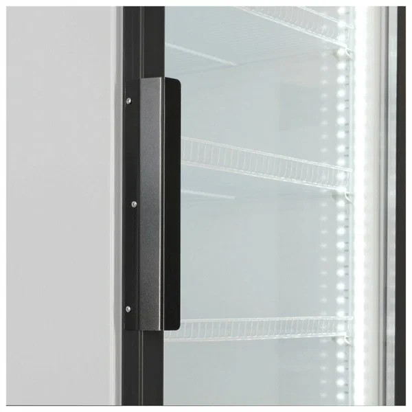 Торговый холодильник Бирюса B600D